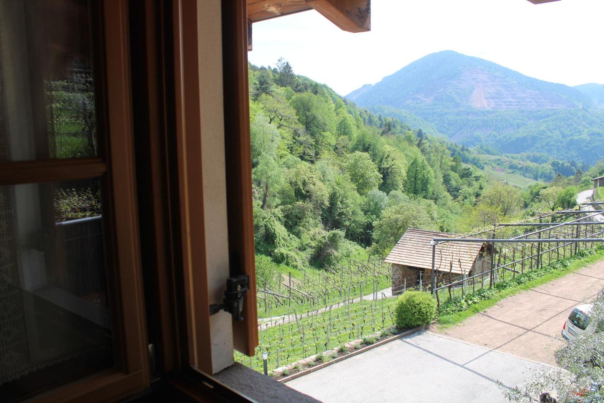 Agriturismo Valfraja チェンブラ エクステリア 写真