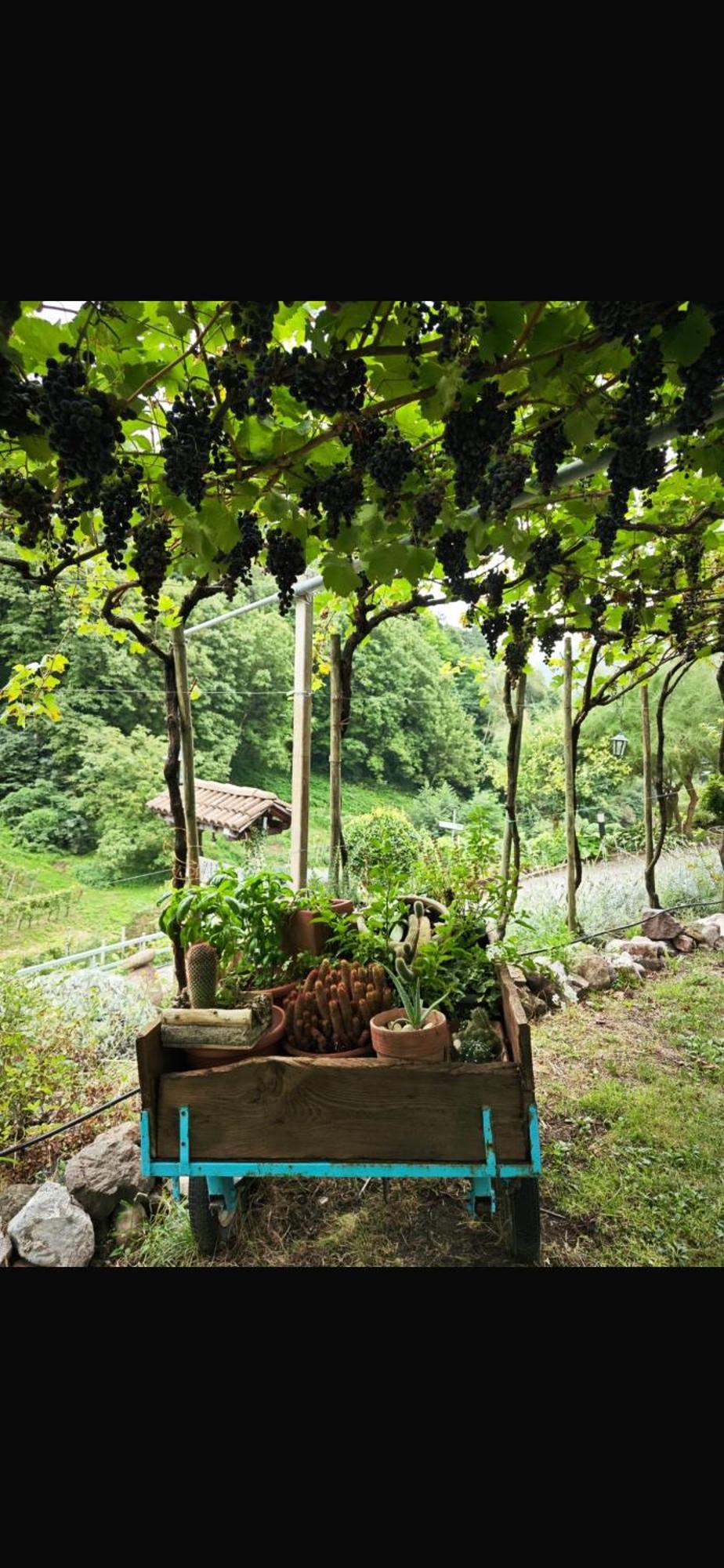 Agriturismo Valfraja チェンブラ エクステリア 写真
