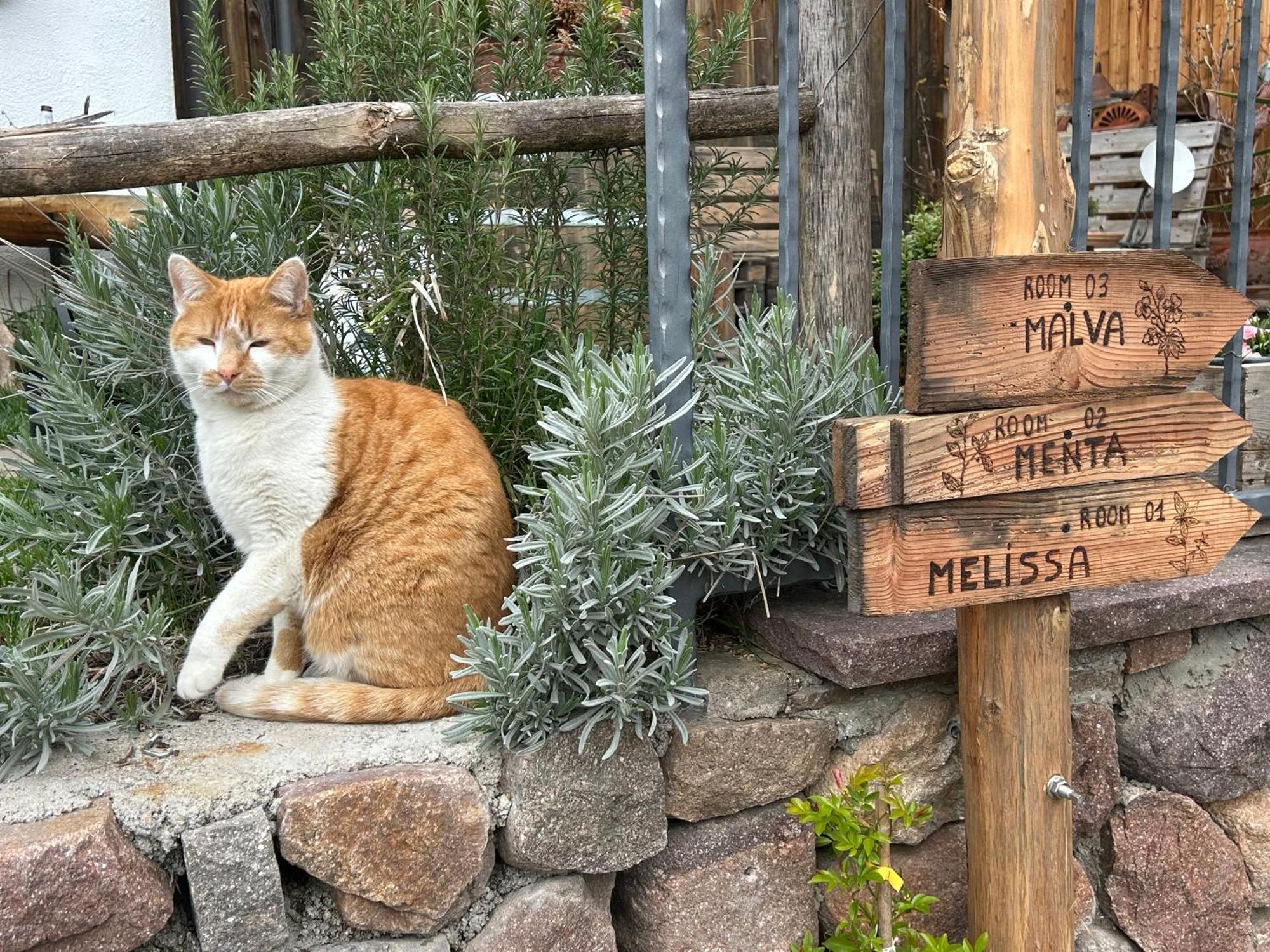 Agriturismo Valfraja チェンブラ エクステリア 写真