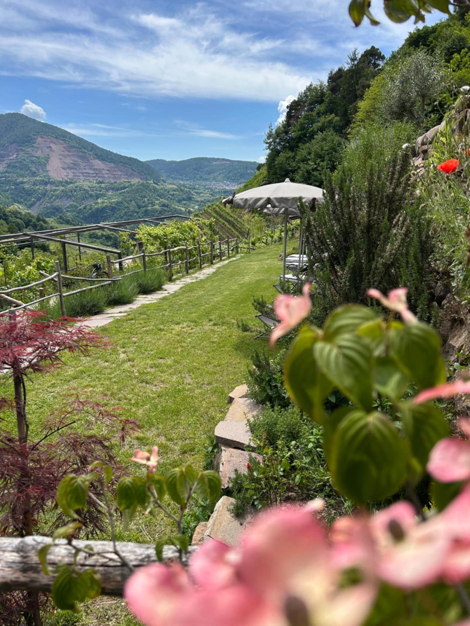 Agriturismo Valfraja チェンブラ エクステリア 写真